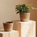 Cachepot de Rattan Natural Artesanal